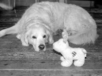 1927_T50_stereo beam splitter-034.JPG