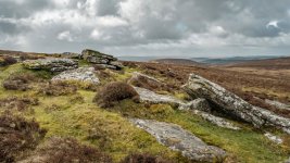 005 Shapley Tor 02-8341 PS Adj.JPG