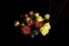 roses_7384rs.jpg