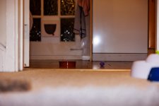 5G4A5348.jpg 5G4A5348.jpg