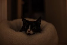 5G4A5353.jpg 5G4A5353.jpg