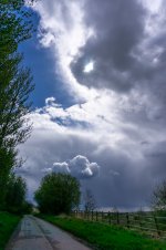 Snappers choice .jpg