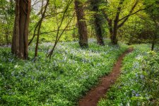 IMG_1813T - Copy - Copysx750.jpeg