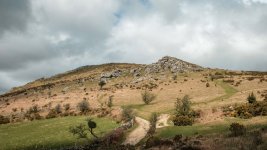019 Bell Tor 05-8455 PS Adj.JPG