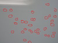 test.jpg