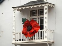 Giant poppy on balcony Sidmouth SL300 DSCF3623.JPG