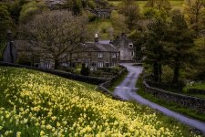 Cowslips & Cottages two.jpg