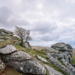 010 Combshead Tor 04-000124760003 PS Adj.JPG