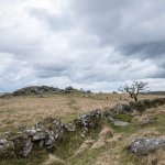 006 Combeshead Tor 02-1020145 PS Adj.JPG