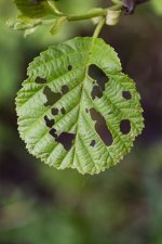 2024-Fradley Junction-014.jpg