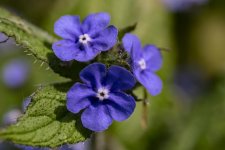 2024-Fradley Junction-022.jpg