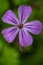 2024-Fradley Junction-028.jpg