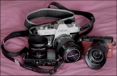 Panasonic GM5s with Canon FT-QL TZ70 P1030694.JPG Panasonic GM5s with Canon FT-QL TZ70 P1030694.JPG