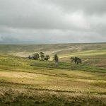 013 Ditsworthy Warren House 02-8613 PS Adj.JPG