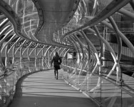 1601APMXBW19_Adj Aerial tunnel.jpg