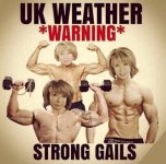 Strong gails.jpg