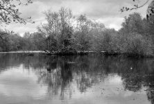 2$04CPMXBW05 Brandon.jpg