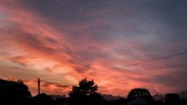 024 After the Storm 01-8674 PS Adj.JPG