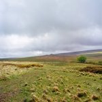 002 Brisworthy Stone Circle 65mm 02-000126590004 PS Adj.JPG