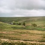 004 Ditsworthy Warren House 250mm 01-000126590007 PS Adj.JPG