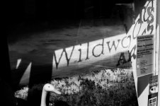 001 Shadows 01-1004865 upload.JPG