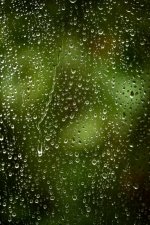 Raindrops.JPG