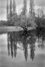 2$04CPMXBW21 Brandon Marsh reflection.jpg