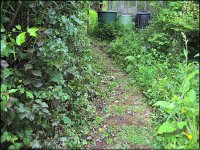 Garden path Ixus 70 IMG_4456.jpg