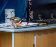 _5261598-Edit.jpg
