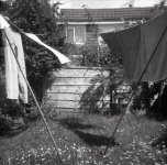 drying.jpg