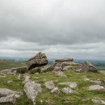 024 Rowtor 06-0981 PS Adj.JPG