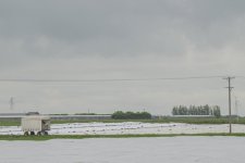 _7817028.jpg