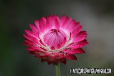 tn_IMG_0813xxx.jpg