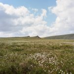 004 Black Tor & Cotton Grass 80mm 03-000127900004 PS Adj.JPG