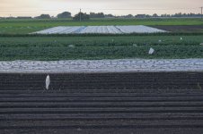 _7817492.jpg