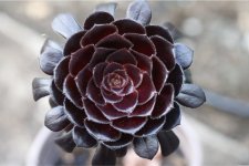 R5-20240628-Stack-2-2.jpg