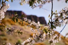 000045850005 Crags.jpg