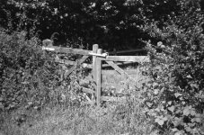 Neville Watkins 0454-33.jpg