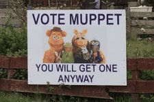 68ae857de91049ef9192a2977159b82487de5dfb (1).jpg