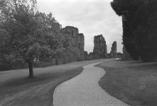 2406BPMXBW08 P33 image.jpg