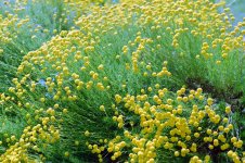 LB + 85mm f2 Jupiter 05.jpg