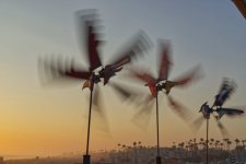 spinners at sunset.jpg