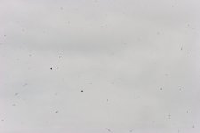 IMG_8770.jpg IMG_8770.jpg
