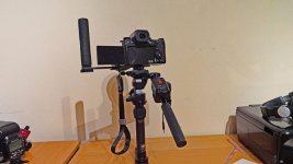 P1011626a.jpg