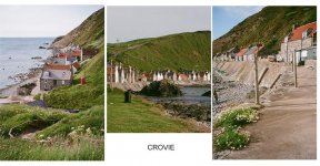 ContactSheet--crovie-copy.jpg-tp.jpg ContactSheet--crovie-copy.jpg-tp.jpg