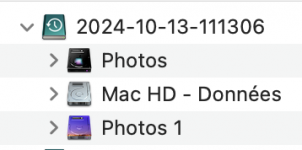 photos_duplicate_entry_2.png