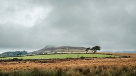 001 Sheeps Tor 01-9035 PS Adj.JPG 001 Sheeps Tor 01-9035 PS Adj.JPG