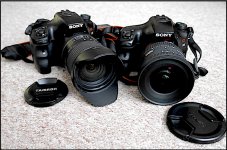 Sony A65s with Tamron and Sigma lenses GX7 P1140617.JPG Sony A65s with Tamron and Sigma lenses GX7 P1140617.JPG