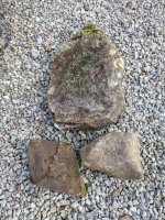 PXL_20241026_150409062 (1).jpg