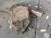 PXL_20241027_124352855 (1).jpg